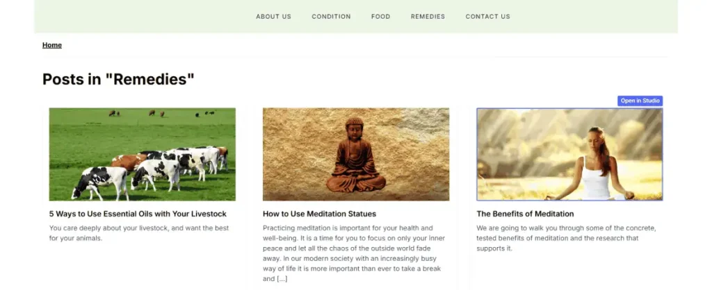 Website Frontend with Next.js