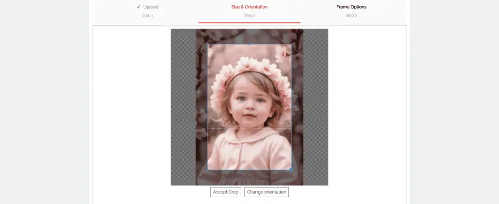 Image Crop Tool with Live Feedback